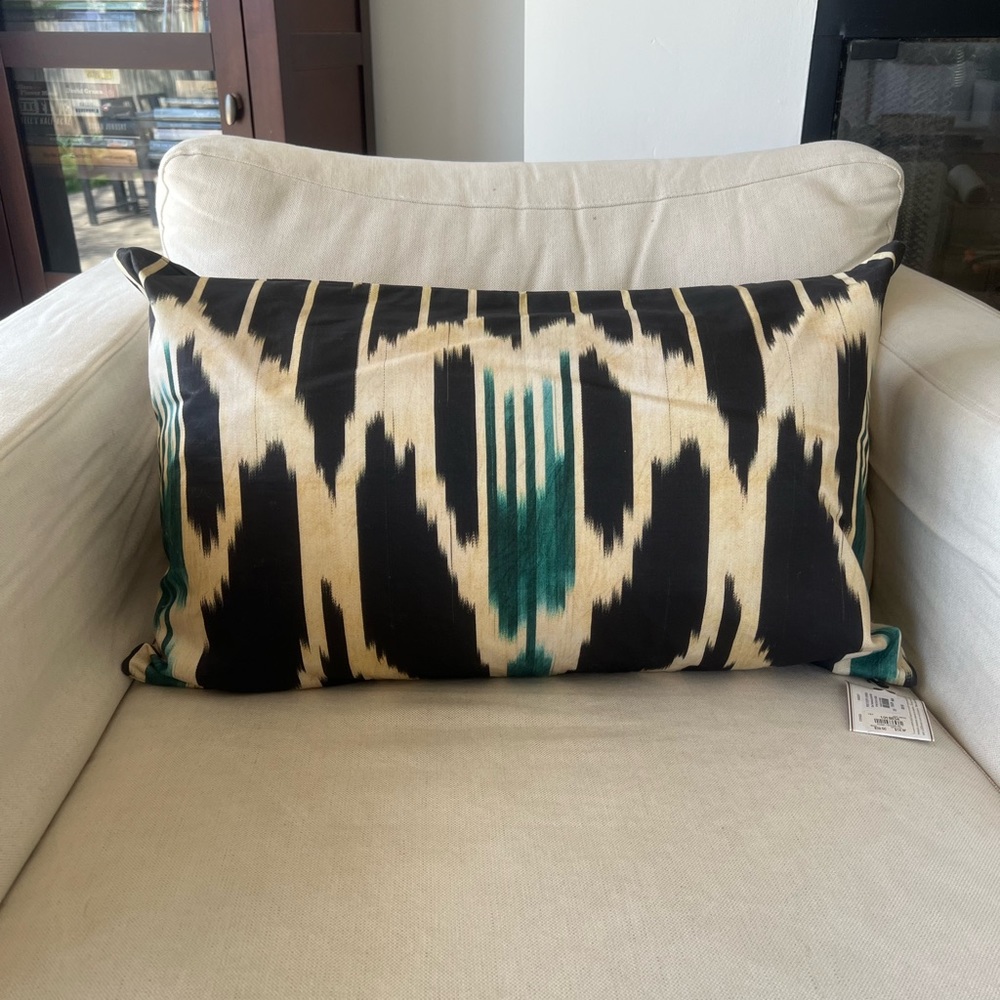 2 Ikat Pottery Barn Edna Silk Pillow Covers 16x26